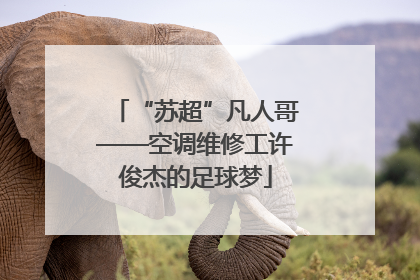 “苏超”凡人哥——空调维修工许俊杰的足球梦