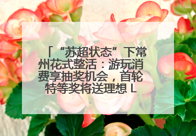 “苏超状态”下常州花式整活：游玩消费享抽奖机会，首轮特等奖将送理想 L6 Pro