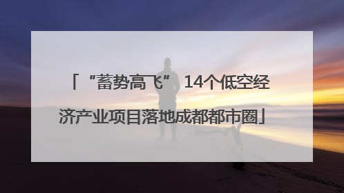 “蓄势高飞” 14个低空经济产业项目落地成都都市圈