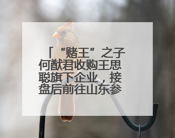 “赌王”之子何猷君收购王思聪旗下企业，接盘后前往山东参加活动