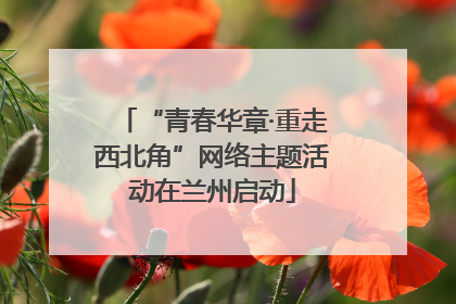 “青春华章·重走西北角”网络主题活动在兰州启动