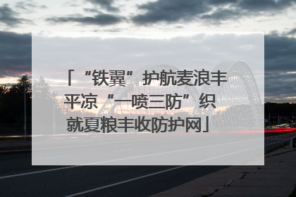 “铁翼”护航麦浪丰 平凉“一喷三防”织就夏粮丰收防护网