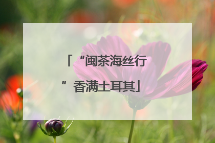 “闽茶海丝行”香满土耳其