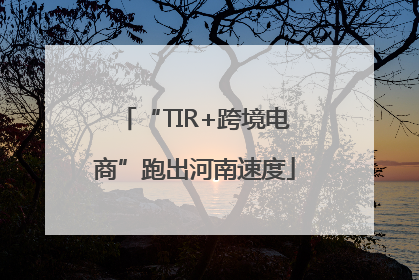 “TIR+跨境电商”跑出河南速度