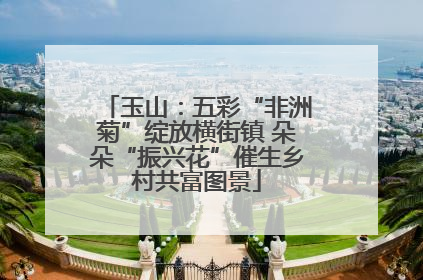 玉山：五彩“非洲菊”绽放横街镇 朵朵“振兴花”催生乡村共富图景
