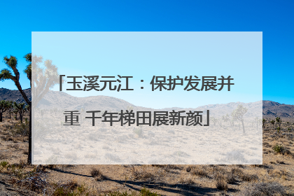 玉溪元江：保护发展并重 千年梯田展新颜