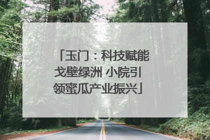 玉门：科技赋能戈壁绿洲 小院引领蜜瓜产业振兴
