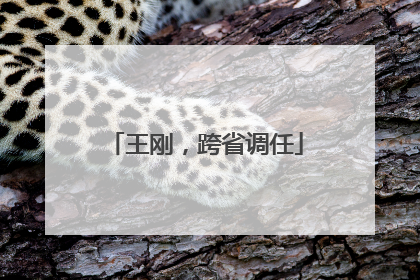 王刚，跨省调任
