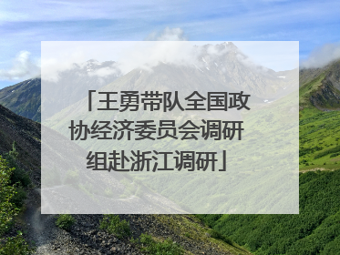 王勇带队全国政协经济委员会调研组赴浙江调研