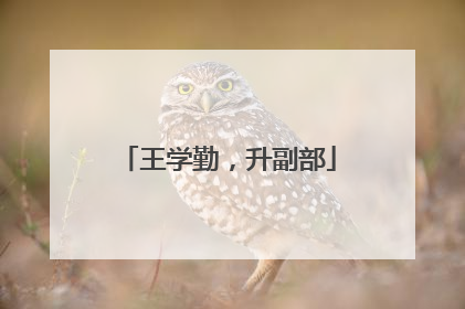 王学勤，升副部