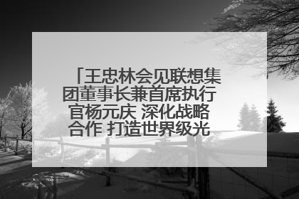 王忠林会见联想集团董事长兼首席执行官杨元庆 深化战略合作 打造世界级光电子信息产业集群