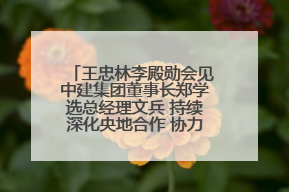 王忠林李殿勋会见中建集团董事长郑学选总经理文兵 持续深化央地合作 协力推动支点建设