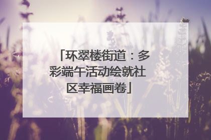 环翠楼街道：多彩端午活动绘就社区幸福画卷