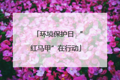 环境保护日 “红马甲”在行动