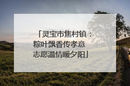 灵宝市焦村镇：粽叶飘香传孝意 志愿温情暖夕阳