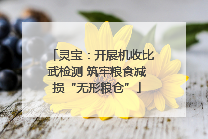 灵宝：开展机收比武检测 筑牢粮食减损“无形粮仓”