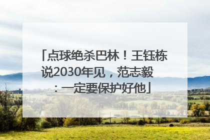 点球绝杀巴林！王钰栋说2030年见，范志毅：一定要保护好他