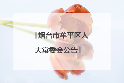 烟台市牟平区人大常委会公告