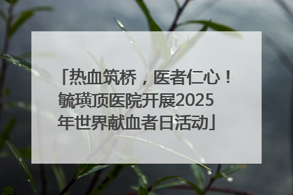 热血筑桥，医者仁心！毓璜顶医院开展2025年世界献血者日活动