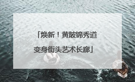 焕新！黄陂锦秀道变身街头艺术长廊