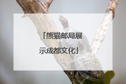 熊猫邮局展示成都文化