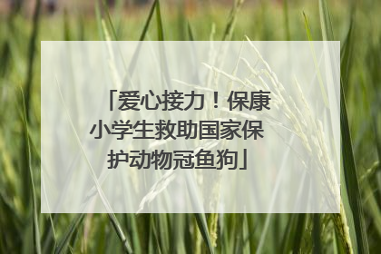 爱心接力！保康小学生救助国家保护动物冠鱼狗
