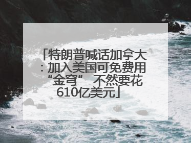 特朗普喊话加拿大：加入美国可免费用“金穹” 不然要花610亿美元