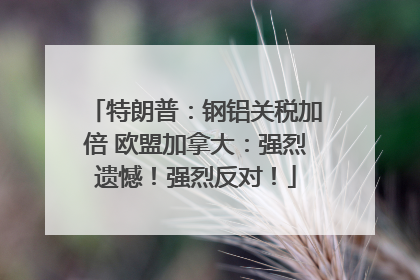 特朗普：钢铝关税加倍 欧盟加拿大：强烈遗憾！强烈反对！