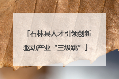 石林县人才引领创新驱动产业“三级跳”