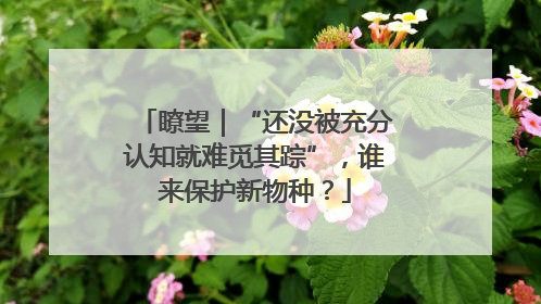 瞭望｜“还没被充分认知就难觅其踪”，谁来保护新物种？