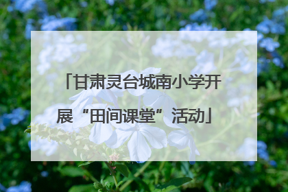 甘肃灵台城南小学开展“田间课堂”活动