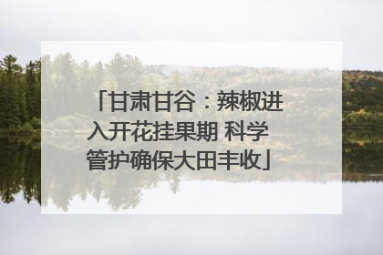 甘肃甘谷：辣椒进入开花挂果期 科学管护确保大田丰收