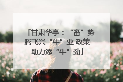 甘肃华亭：“畜”势腾飞兴“牛”业 政策助力添“牛”劲