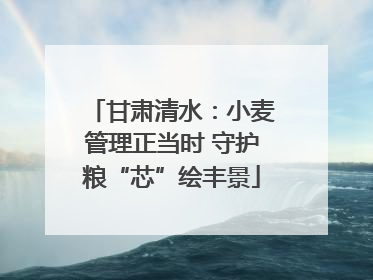 甘肃清水：小麦管理正当时 守护粮“芯”绘丰景