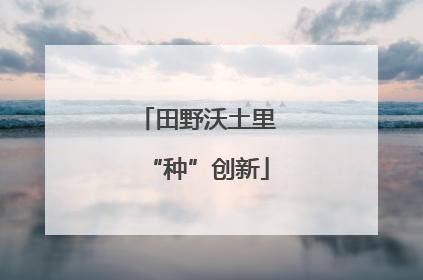田野沃土里“种”创新