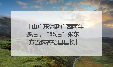 由广东调赴广西两年多后，“85后”张东方当选苍梧县县长