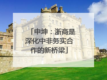 申坤：浙商是深化中非务实合作的新桥梁