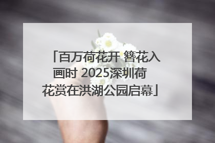 百万荷花开 簪花入画时 2025深圳荷花赏在洪湖公园启幕
