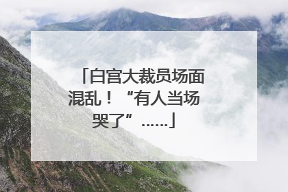 白宫大裁员场面混乱！“有人当场哭了”……