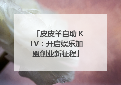 皮皮羊自助 KTV：开启娱乐加盟创业新征程