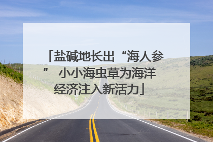 盐碱地长出“海人参” 小小海虫草为海洋经济注入新活力