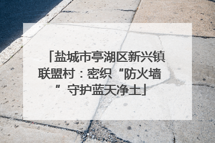 盐城市亭湖区新兴镇联盟村：密织“防火墙”守护蓝天净土