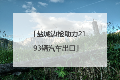 盐城边检助力2193辆汽车出口