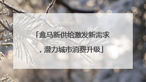 盒马新供给激发新需求，潜力城市消费升级