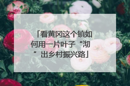 看黄冈这个镇如何用一片叶子“沏”出乡村振兴路