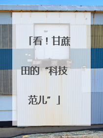 看！甘蔗田的“科技范儿”