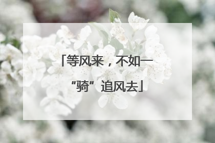 等风来，不如一“骑”追风去