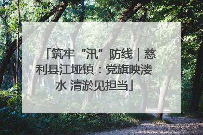 筑牢“汛”防线｜慈利县江垭镇：党旗映溇水 清淤见担当