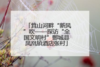 箕山河畔“新风”吹——探访“全国文明村”鄄城县凤凰镇酒店张村