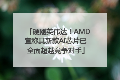 硬刚英伟达！AMD宣称其新款AI芯片已全面超越竞争对手